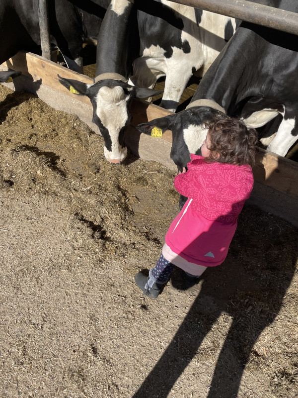 Besuch auf dem Bauernhof