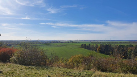 Ela‘s Naturseelchen bei Daniela Blöcker Tagespflege - Ela's Naturseelchen die Tagespflege Raa-Besenbek Ela‘s Naturseelchen bei Daniela Blöcker Tagespflege - Ela's Naturseelchen die Tagespflege Raa-Besenbek